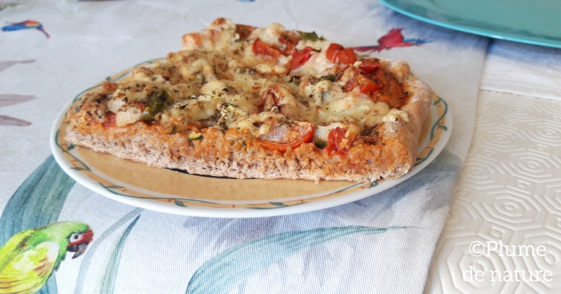 Recette pizza maison bio