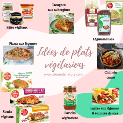 Idées de plats végétariens