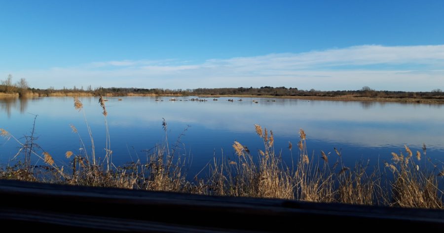 La Brenne : Le Pays aux mille étangs