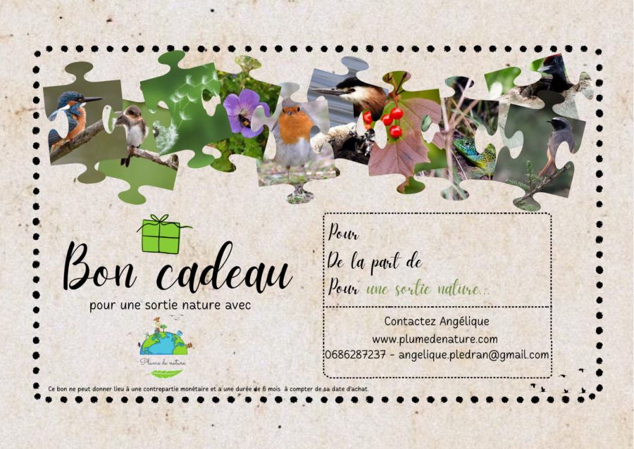 BON CADEAU
