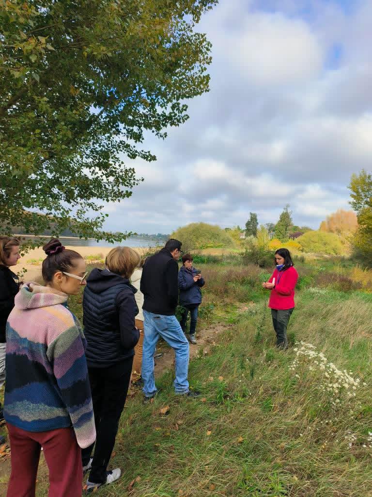 Plantes sauvages comestibles entre Combleux et Chécy