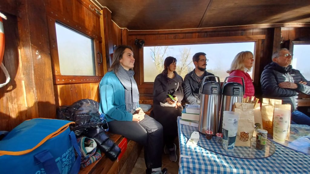 Atelier découverte des plantes comestibles en hiver et tisanes de Noël en toue cabanée