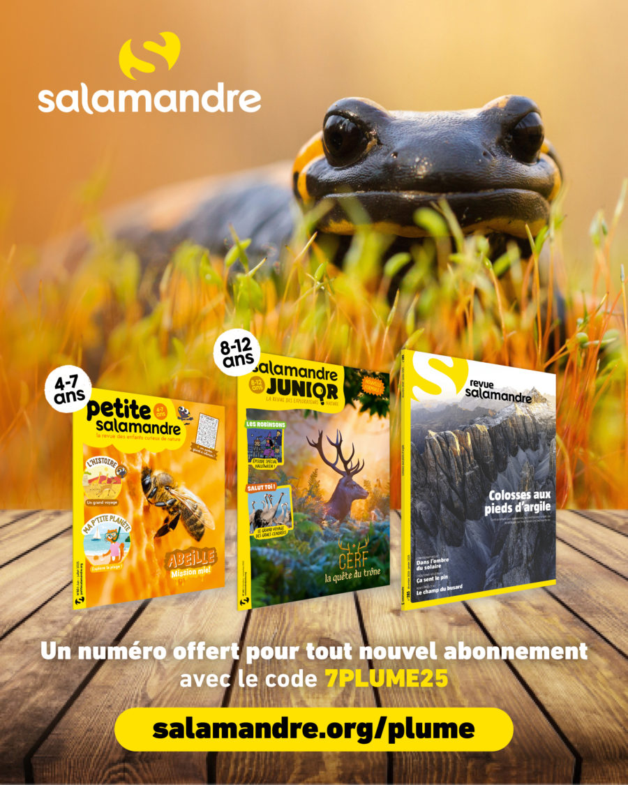 La Salamandre x Plume de nature ! Avec Code promo exclusif