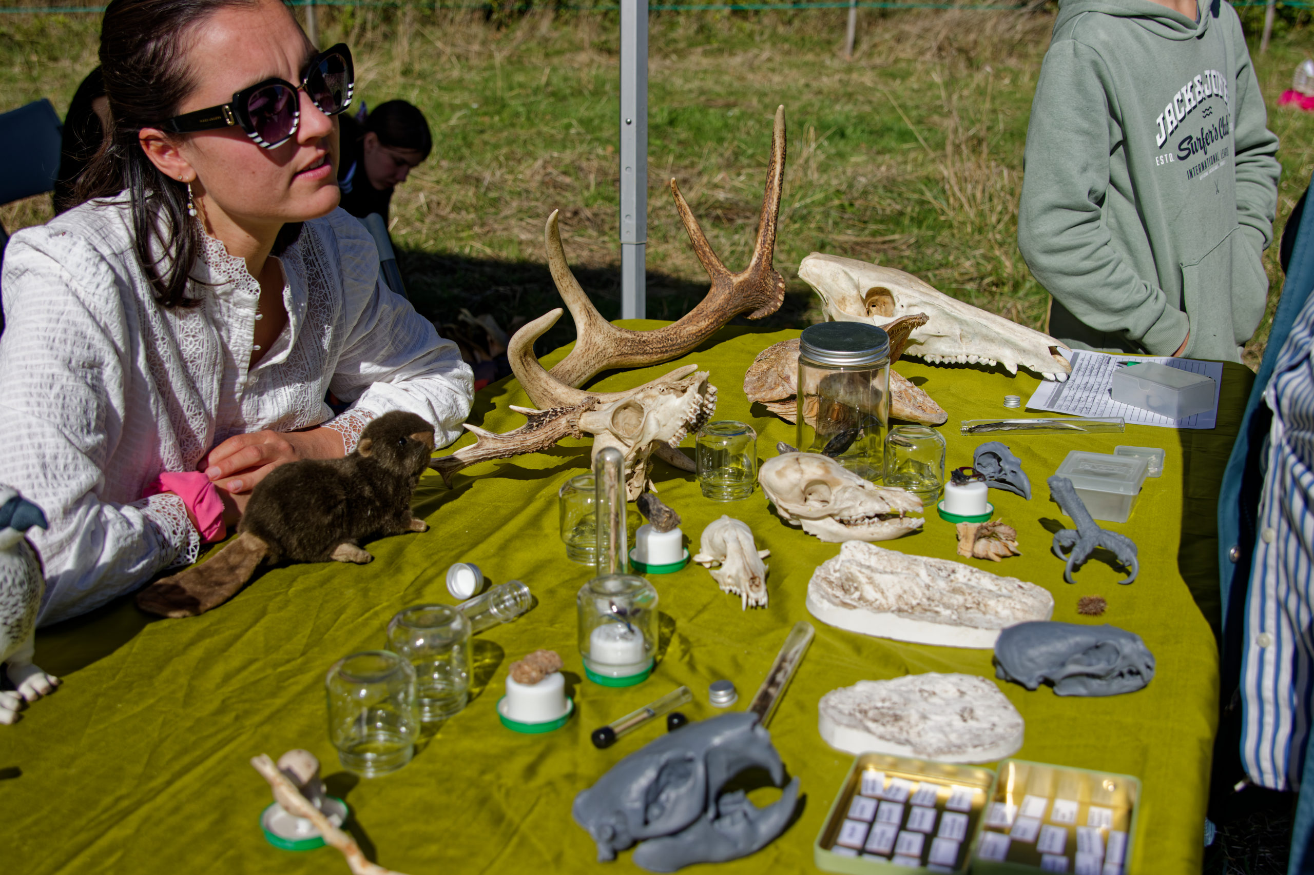 réserver une sortie pour pister les animaux