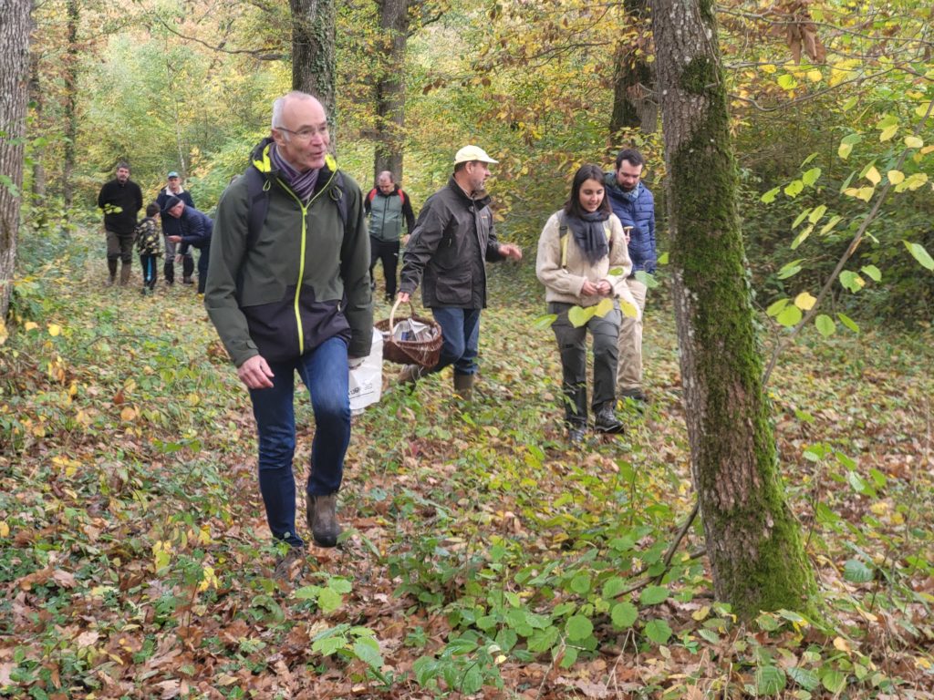 sortie mycologique en forêt d'Orleans