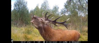 Compilation des pièges photo