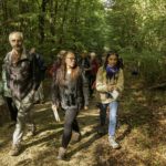 balade nature improvisée dans le Loiret ou le Loir et Cher