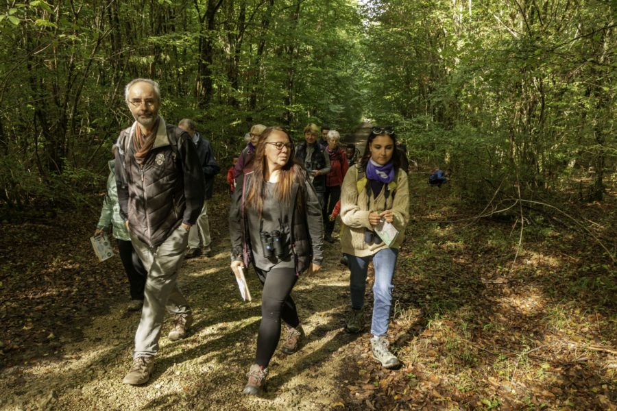 Balades nature improvisées